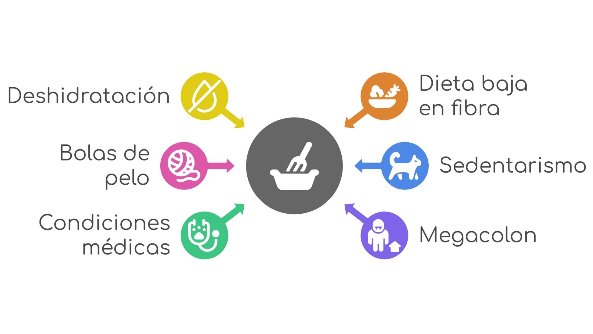 causas de estreñimiento